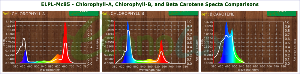 Mc85 - Chlorophyll-A, Chlorophyll-B, and Beta Carotene Specta Comparisons