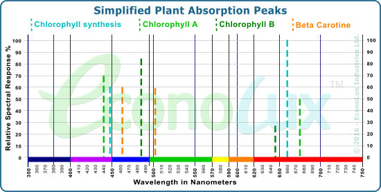 Simplified Plant light absorption peaks